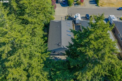 Big on space, low on maintenance. This unique single-level home - photo 37