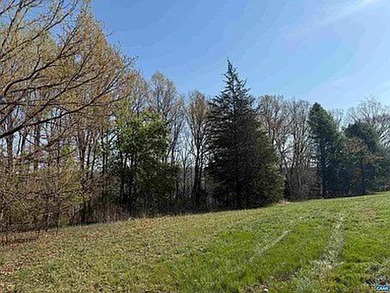 Located just 30 minutes from Charlottesville, this 118-acre - photo 37