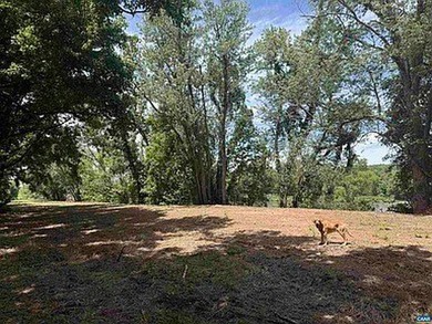 Located just 30 minutes from Charlottesville, this 118-acre - photo 38