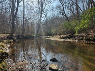Located just 30 minutes from Charlottesville, this 118-acre - photo 41