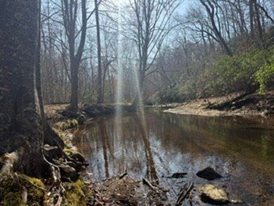 Located just 30 minutes from Charlottesville, this 118-acre - photo 42