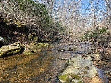 Located just 30 minutes from Charlottesville, this 118-acre - photo 43