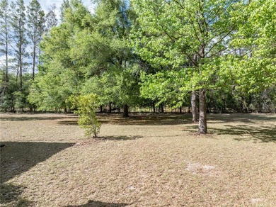 Check out this Beautiful Light and Bright Triple Wide on 10 - photo 31