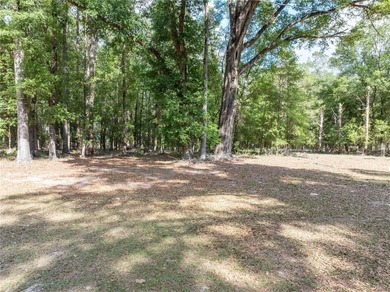 Check out this Beautiful Light and Bright Triple Wide on 10 - photo 33