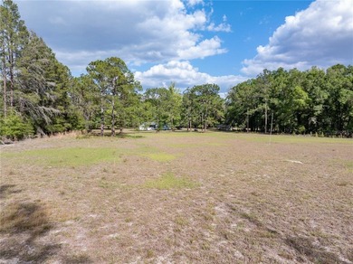 Check out this Beautiful Light and Bright Triple Wide on 10 - photo 35