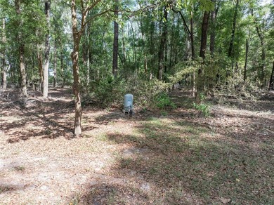 Check out this Beautiful Light and Bright Triple Wide on 10 - photo 37