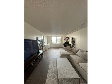 Experience elevated living in this beautifully renovated - photo 3