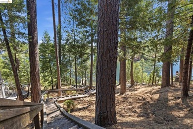 Prime Deep Water Lake Front Estate- An exceptional opportunity - photo 44
