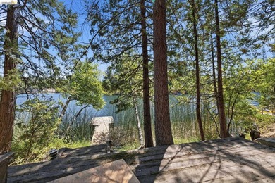 Prime Deep Water Lake Front Estate- An exceptional opportunity - photo 45
