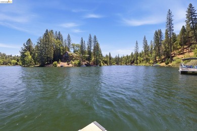 Prime Deep Water Lake Front Estate- An exceptional opportunity - photo 46