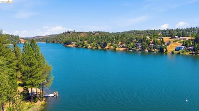 Prime Deep Water Lake Front Estate- An exceptional opportunity - photo 48