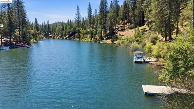 Prime Deep Water Lake Front Estate- An exceptional opportunity - photo 49
