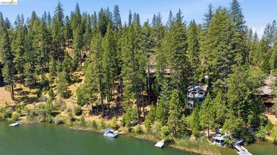 Prime Deep Water Lake Front Estate- An exceptional opportunity - photo 50