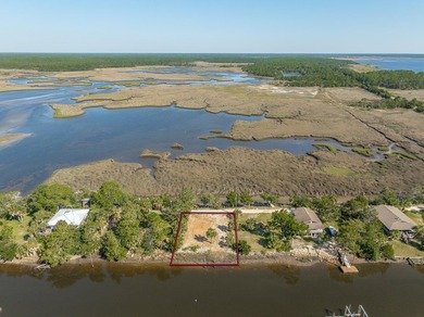 Private Waterfront lot with its own convenient boat launch/ramp - photo 8