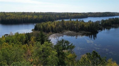 Lake Acreage For Sale in Beatty Twp, Minnesota