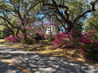 Rare opportunity to build in a charming coastal community in - photo 4