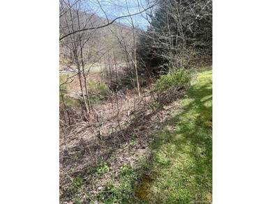 Beautiful parcel with Septic, deeded rights to 2 springs, and - photo 12