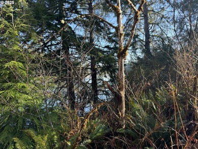 LARGE, 24.38 +/- ACRES OVER TWO TAX PARCELS (#1402/#1403) - photo 16