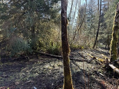 LARGE, 24.38 +/- ACRES OVER TWO TAX PARCELS (#1402/#1403) - photo 17