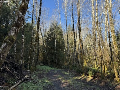 LARGE, 24.38 +/- ACRES OVER TWO TAX PARCELS (#1402/#1403) - photo 18
