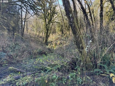 LARGE, 24.38 +/- ACRES OVER TWO TAX PARCELS (#1402/#1403) - photo 19