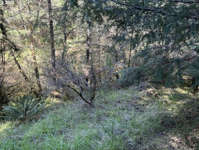 LARGE, 24.38 +/- ACRES OVER TWO TAX PARCELS (#1402/#1403) - photo 21