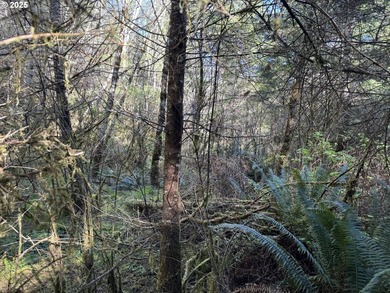 LARGE, 24.38 +/- ACRES OVER TWO TAX PARCELS (#1402/#1403) - photo 23