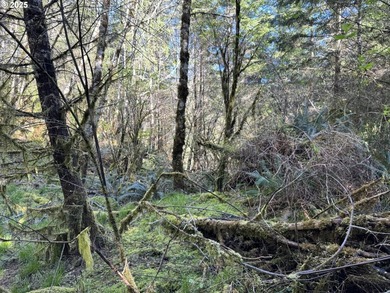 LARGE, 24.38 +/- ACRES OVER TWO TAX PARCELS (#1402/#1403) - photo 24
