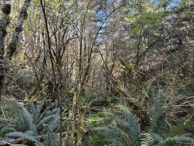 LARGE, 24.38 +/- ACRES OVER TWO TAX PARCELS (#1402/#1403) - photo 25