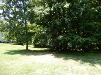 Lake Barkley Lot For Sale in Grand Rivers Kentucky