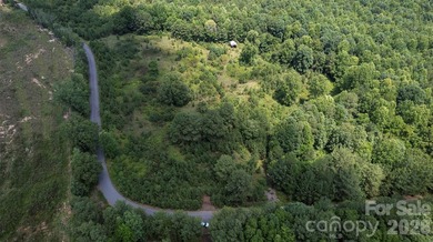 Exceptional 100 - acre tract in Sherrills Ford, N.C - photo 4