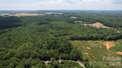 Exceptional 100 - acre tract in Sherrills Ford, N.C - photo 5