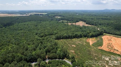 Exceptional 100 - acre tract in Sherrills Ford, N.C - photo 6