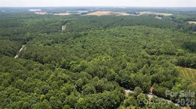 Exceptional 100 - acre tract in Sherrills Ford, N.C - photo 7
