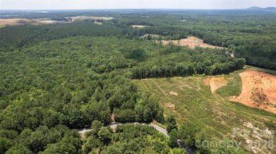 Exceptional 100 - acre tract in Sherrills Ford, N.C - photo 8