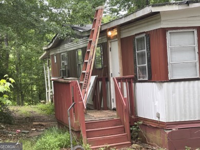 Lake Home For Sale in Nicholson, Georgia