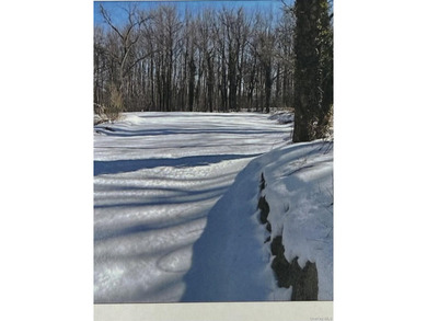 Rare development opportunity in the Town of Huntington with a - photo 3