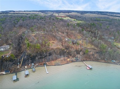 Seneca Lake views and private lake access are yours with this - photo 11