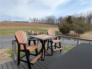 Seneca Lake views and private lake access are yours with this - photo 15