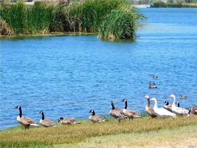 Build your dream home in the scenic gated community of Lake - photo 15