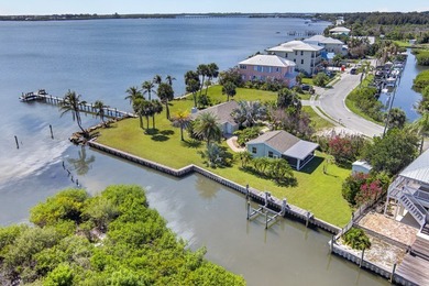 Dream Home & guest cottage-OR-Build NEW-Both are perfect options - photo 7