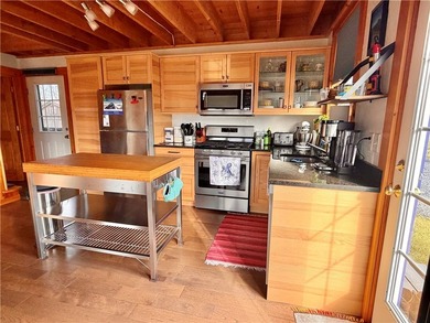 Seneca Lake views and private lake access are yours with this - photo 20