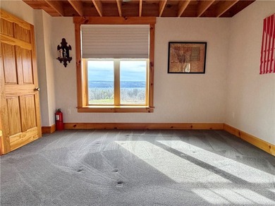 Seneca Lake views and private lake access are yours with this - photo 22