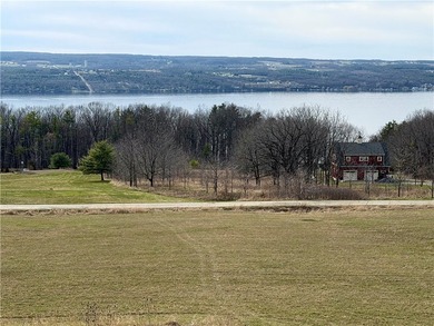 Seneca Lake views and private lake access are yours with this - photo 34