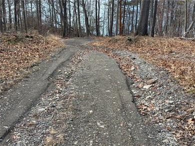 Seneca Lake views and private lake access are yours with this - photo 35