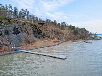 Seneca Lake views and private lake access are yours with this - photo 39