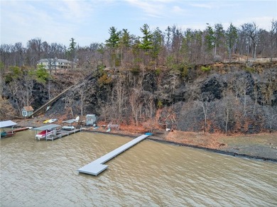 Seneca Lake views and private lake access are yours with this - photo 40