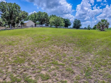 Little Lake Harris Acreage For Sale in Astatula Florida