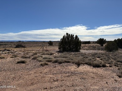 This is a great lot to build a beautiful house, just over an - photo 3