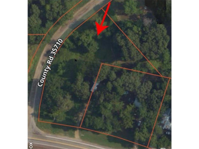 Lake Lot For Sale in Powderly, Texas